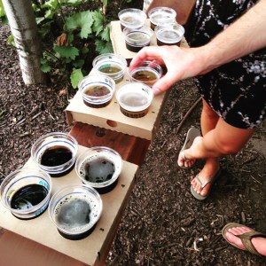 beer flight