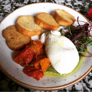 Red Rabbit Buratta Cheese