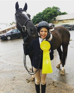 Horse Show Minnesota State Fair
