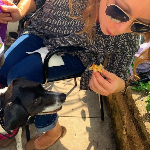 The Howe Daily Kitchen and Bar Dog Menu