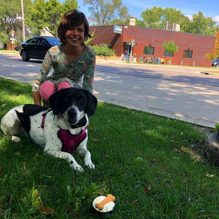 Howe Daily Kitchen & Bar Dog Menu | Minneapolis