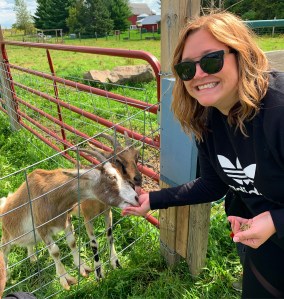 Hudson Wisconsin Goats