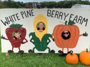 White Pine Berry Farm
