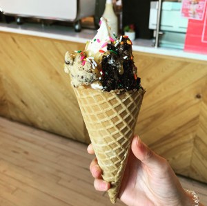 MN Nice Cream Campfire Northeast Minneapolis