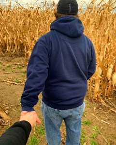 Have Ya Herd Corn Maze
