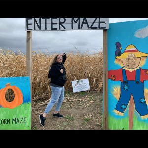 Have Ya Herd Corn Maze Hudson