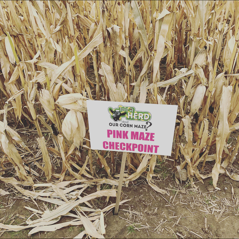 Have Ya Herd Corn Maze Hudson Pink