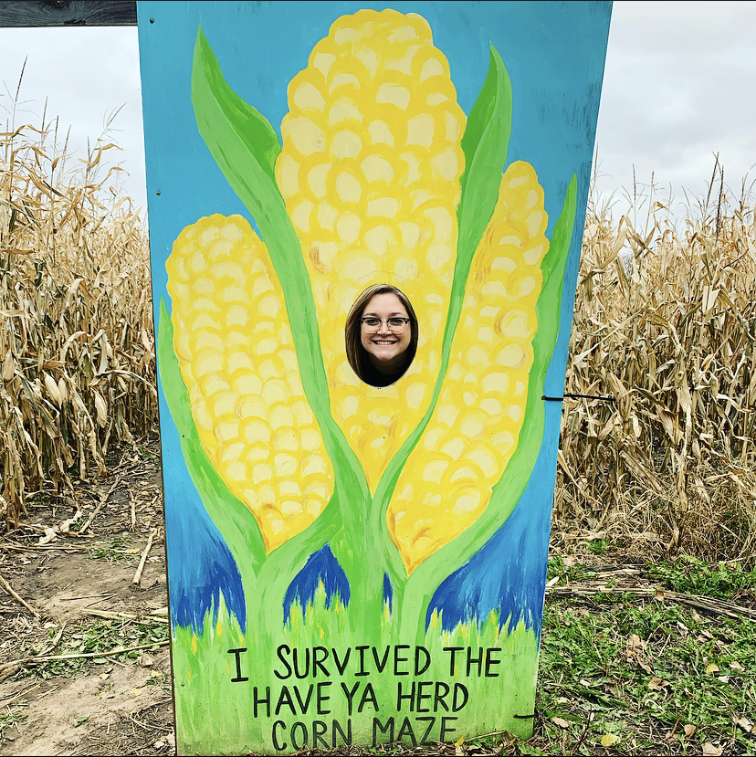 Have Ya Herd Corn Maze Exit