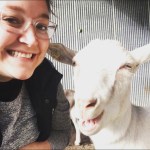 Have Ya Herd Goat Yoga Close Up