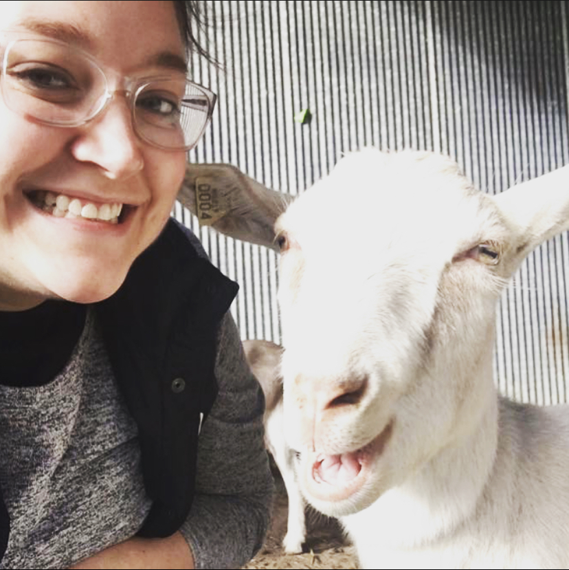 Have Ya Herd Goat Yoga Close Up