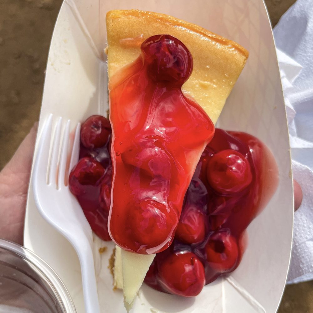 Minnesota Renaissance Festival 2024 Hipster Hack Food Review