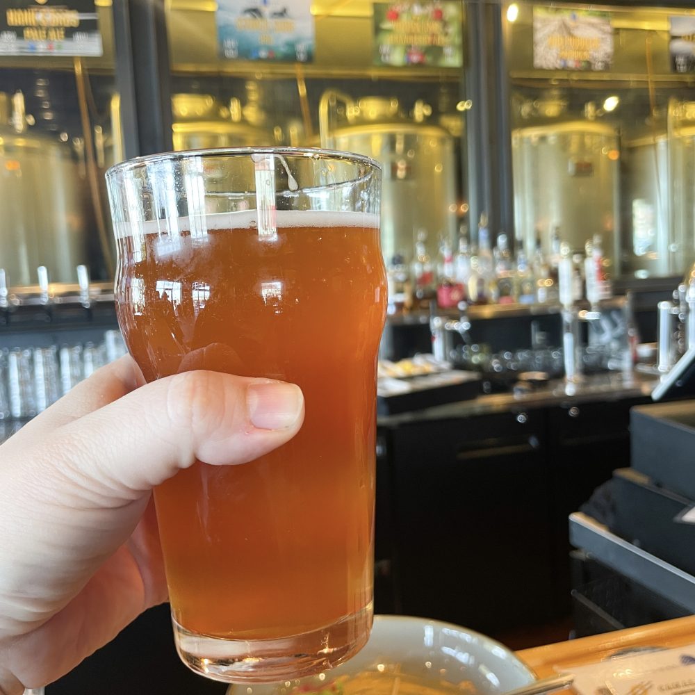 Duluth Minnesota Best Food and Drink Spot Reviews Hipster Hack