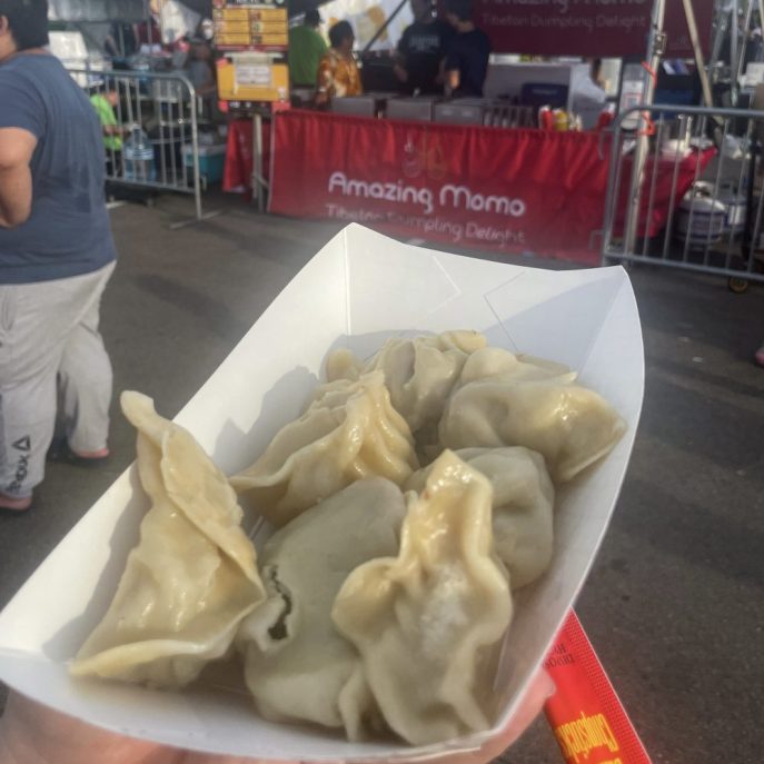 Panda Fest Twin Cities Minnesota Food Review 2025 Hipster Hack blog