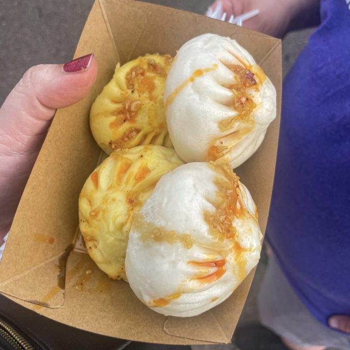 Panda Fest Twin Cities Minnesota Food Review 2025 Hipster Hack blog