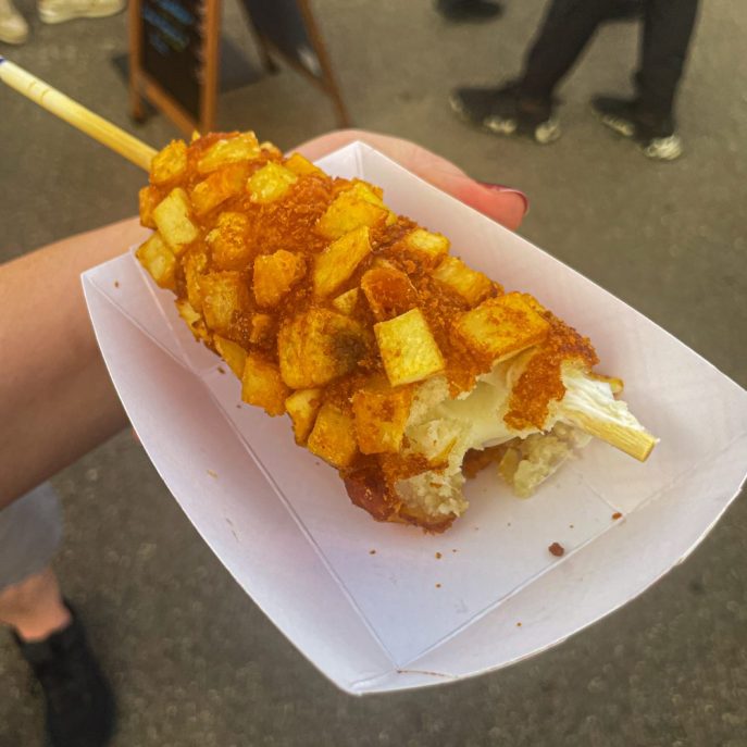 Panda Fest Twin Cities Minnesota Food Review 2025 Hipster Hack blog