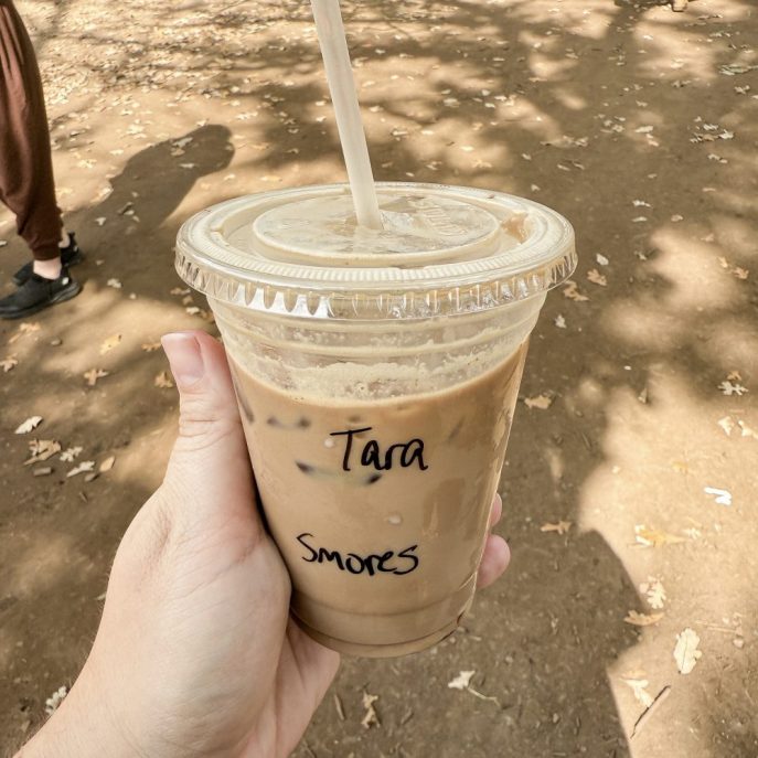 Minnesota Renaissance Festival 2025 Hipster Hack Food Review