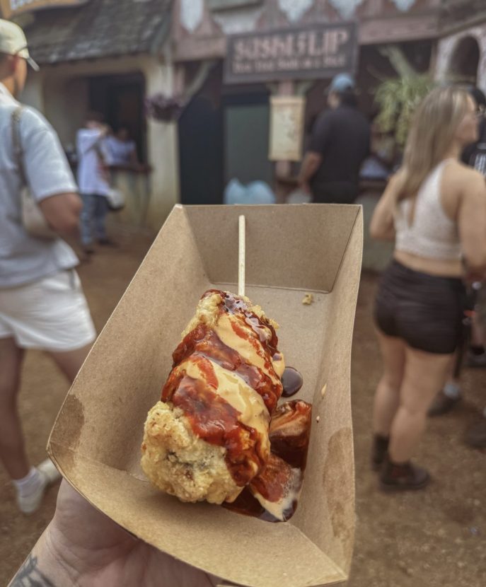 Minnesota Renaissance Festival 2025 Hipster Hack Food Review