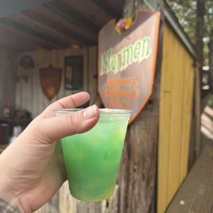 Minnesota Renaissance Festival 2025 Hipster Hack Food Review